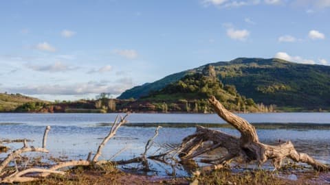 Antiquaire-Brocanteur Octon