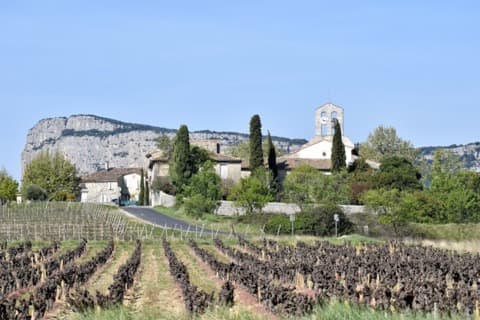 Antiquaire-Brocanteur Valflaunès