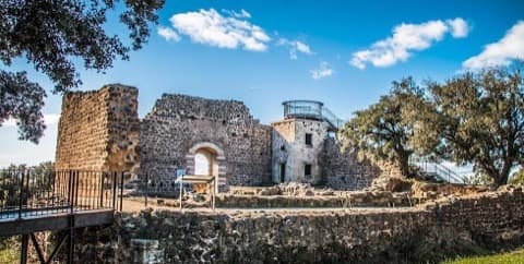 Antiquaire-Brocanteur Valros